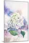 Watercolor White Hydrangea-Eisfrei-Mounted Art Print