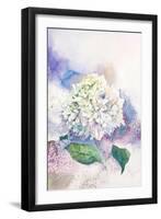 Watercolor White Hydrangea-Eisfrei-Framed Art Print