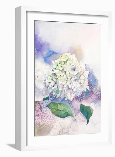 Watercolor White Hydrangea-Eisfrei-Framed Art Print