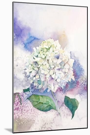 Watercolor White Hydrangea-Eisfrei-Mounted Art Print
