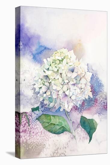 Watercolor White Hydrangea-Eisfrei-Stretched Canvas