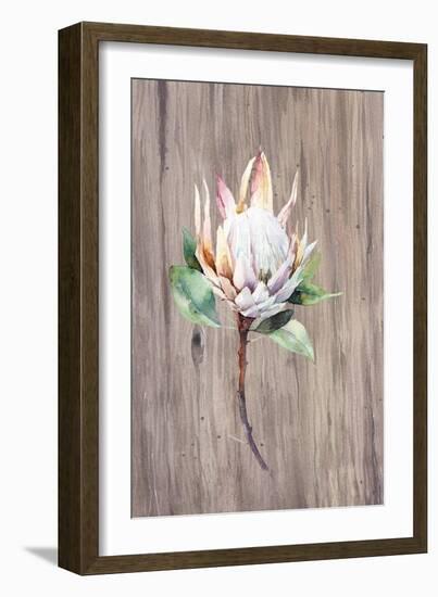 Watercolor White Protea Flower on Wood Surface-Eisfrei-Framed Art Print