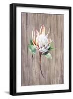 Watercolor White Protea Flower on Wood Surface-Eisfrei-Framed Art Print