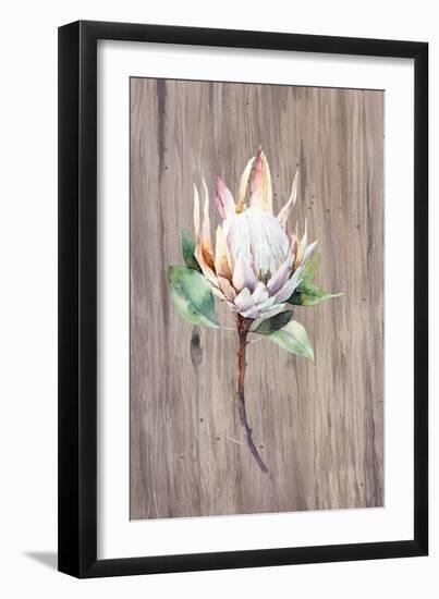 Watercolor White Protea Flower on Wood Surface-Eisfrei-Framed Art Print