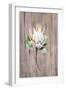Watercolor White Protea Flower on Wood Surface-Eisfrei-Framed Art Print