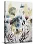 Watercolor Wildflower I-Grace Popp-Stretched Canvas