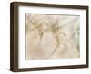 Watercolors-Nel Talen-Framed Photographic Print