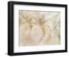 Watercolors-Nel Talen-Framed Photographic Print