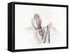 Watercolour Nude 1-Nicky Kumar-Framed Stretched Canvas