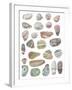 Watercolour Pebbles-Sandra Jacobs-Framed Giclee Print