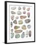 Watercolour Pebbles-Sandra Jacobs-Framed Giclee Print