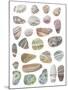 Watercolour Pebbles-Sandra Jacobs-Mounted Giclee Print