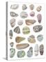 Watercolour Pebbles-Sandra Jacobs-Stretched Canvas