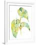 Watercolour Tropical 3-Mary Escobedo-Framed Art Print