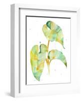 Watercolour Tropical 3-Mary Escobedo-Framed Art Print