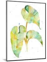 Watercolour Tropical 3-Mary Escobedo-Mounted Art Print