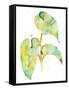 Watercolour Tropical 3-Mary Escobedo-Framed Stretched Canvas