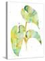 Watercolour Tropical 3-Mary Escobedo-Stretched Canvas