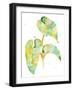 Watercolour Tropical 3-Mary Escobedo-Framed Art Print