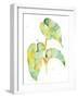 Watercolour Tropical 3-Mary Escobedo-Framed Art Print