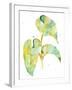 Watercolour Tropical 3-Mary Escobedo-Framed Art Print