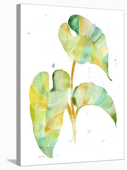 Watercolour Tropical 3-Mary Escobedo-Stretched Canvas