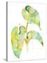 Watercolour Tropical 3-Mary Escobedo-Stretched Canvas