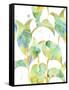 Watercolour Tropical Pattern 2-Mary Escobedo-Framed Stretched Canvas