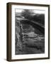 Watercress Bed-null-Framed Photographic Print