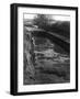 Watercress Bed-null-Framed Photographic Print