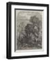 Watercress-Gathering-Samuel Read-Framed Premium Giclee Print