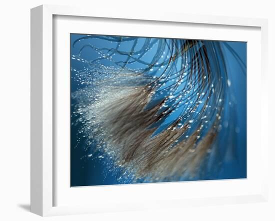 Waterdance-Ursula Abresch-Framed Photographic Print