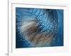 Waterdance-Ursula Abresch-Framed Photographic Print