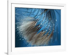 Waterdance-Ursula Abresch-Framed Photographic Print