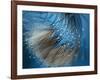 Waterdance-Ursula Abresch-Framed Photographic Print