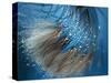 Waterdance-Ursula Abresch-Stretched Canvas