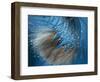 Waterdance-Ursula Abresch-Framed Photographic Print