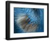 Waterdance-Ursula Abresch-Framed Photographic Print