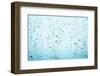 Waterdrops on Window-Andrzej Wilusz-Framed Photographic Print