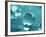 Waterdrops-null-Framed Photographic Print