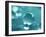 Waterdrops-null-Framed Photographic Print