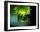 Waterdrops-null-Framed Photographic Print