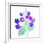 Watered Down Purple-Jace Grey-Framed Art Print