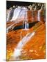 Waterfall Along North Creek, Zion National Park, Utah, USA-Scott T. Smith-Mounted Photographic Print