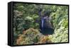 Waterfall along the Hana Highway-Terry Eggers-Framed Stretched Canvas