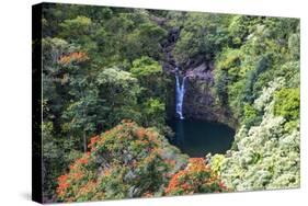 Waterfall along the Hana Highway-Terry Eggers-Stretched Canvas