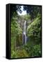 Waterfall along the Hana Highway-Terry Eggers-Framed Stretched Canvas