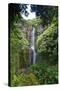 Waterfall along the Hana Highway-Terry Eggers-Stretched Canvas