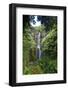 Waterfall along the Hana Highway-Terry Eggers-Framed Photographic Print