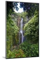 Waterfall along the Hana Highway-Terry Eggers-Mounted Photographic Print